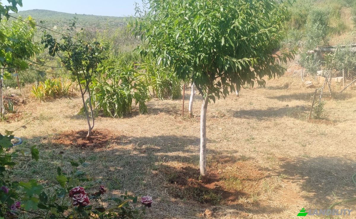 Lote de terreno en venta Mazikoy, 48440 Bodrum Mugla, Bodrum Mugla, Bodrum, Mugla, Turkiye. Foto 9