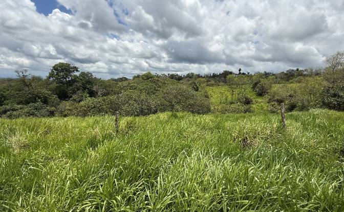 Земельна ділянка продаж - Sortova, Panama