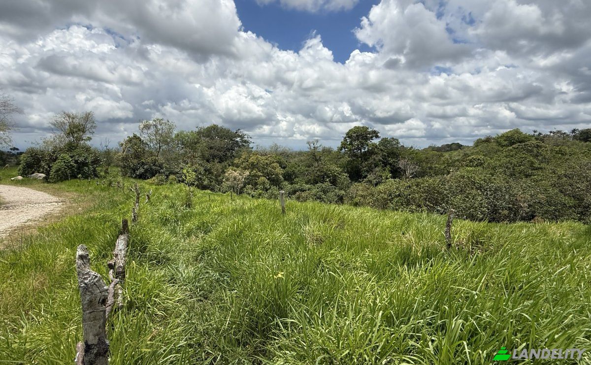 Lote de terreno en venta Manzana 040511 1-28, Sortová, Bugaba, Provincia de Chiriquí, Panamá. Foto 2