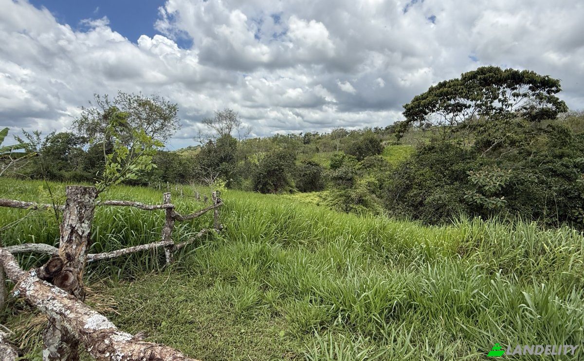 Lote de terreno en venta Manzana 040511 1-28, Sortová, Bugaba, Provincia de Chiriquí, Panamá. Foto 3