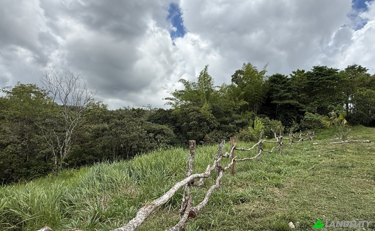 Lote de terreno en venta Manzana 040511 1-28, Sortová, Bugaba, Provincia de Chiriquí, Panamá. Foto 4