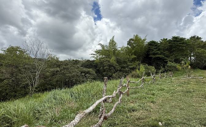 Lote de terreno en venta Manzana 040511 1-28. Foto#4 Lote de terreno en venta Manzana 040511 1-28. Foto#4