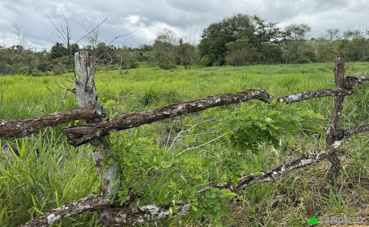 Lote de terreno en venta Manzana 040511 1-33, Sortová, Bugaba, Provincia de Chiriquí, Panamá. Foto 10
