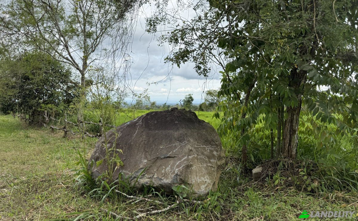 Lote de terreno en venta Manzana 040511 1-33, Sortová, Bugaba, Provincia de Chiriquí, Panamá. Foto 11