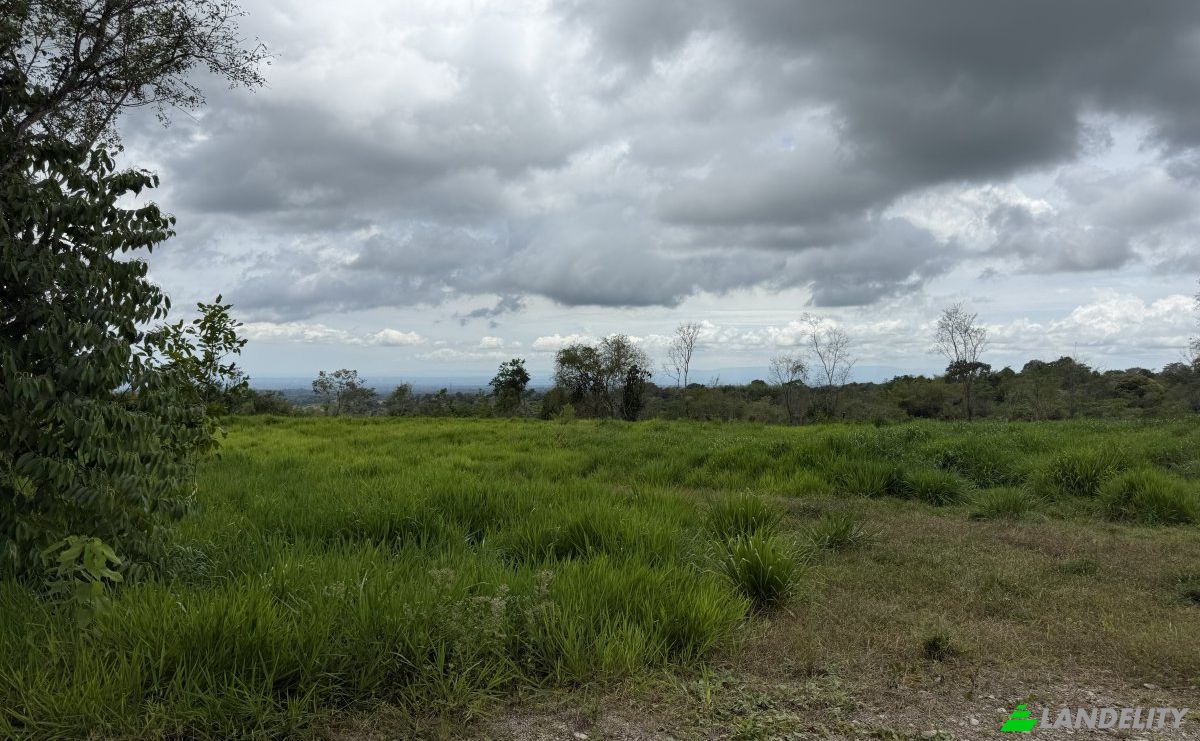 Lote de terreno en venta Manzana 040511 1-33, Sortová, Bugaba, Provincia de Chiriquí, Panamá. Foto 12