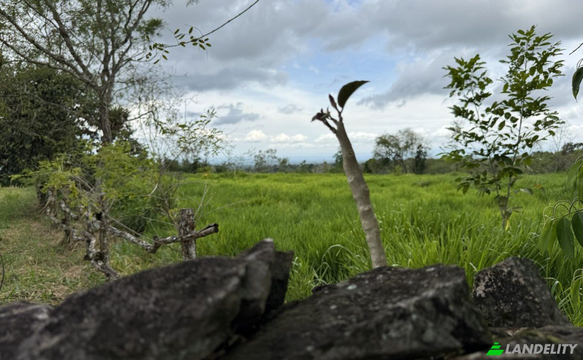 Lote de terreno en venta Manzana 040511 1-33, Sortová, Bugaba, Provincia de Chiriquí, Panamá. Foto 13