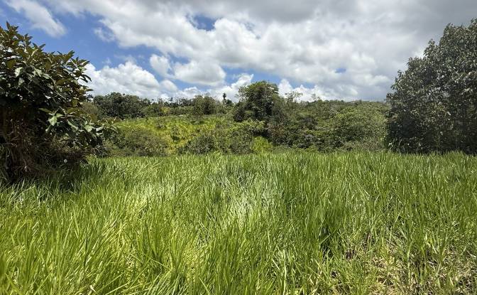 Lote de terreno en venta Manzana 040511 1-33. Foto#3 Lote de terreno en venta Manzana 040511 1-33. Foto#3