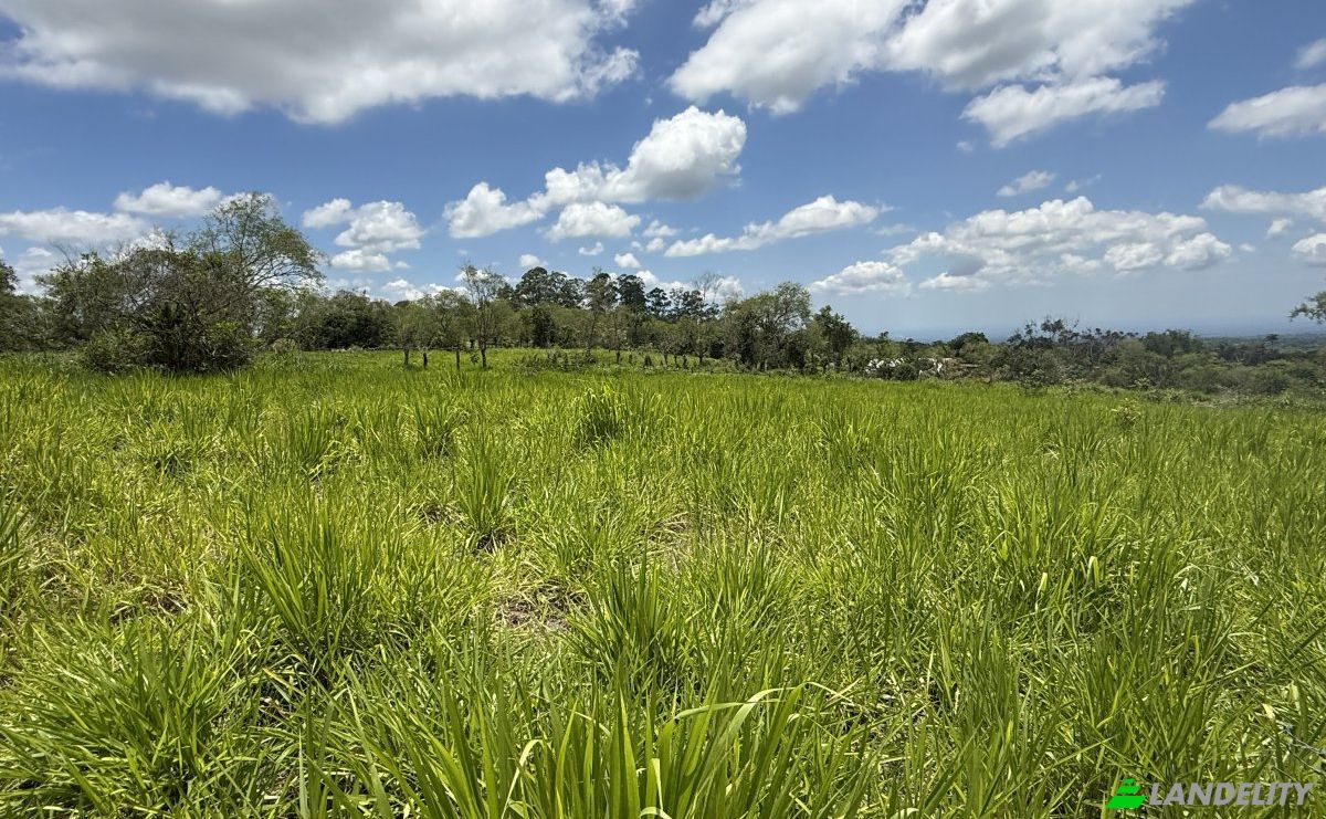 Lote de terreno en venta Manzana 040511 1-33, Sortová, Bugaba, Provincia de Chiriquí, Panamá. Foto 4