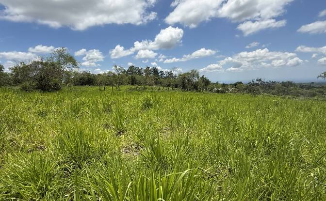 Lote de terreno en venta Manzana 040511 1-33. Foto#4 Lote de terreno en venta Manzana 040511 1-33. Foto#4