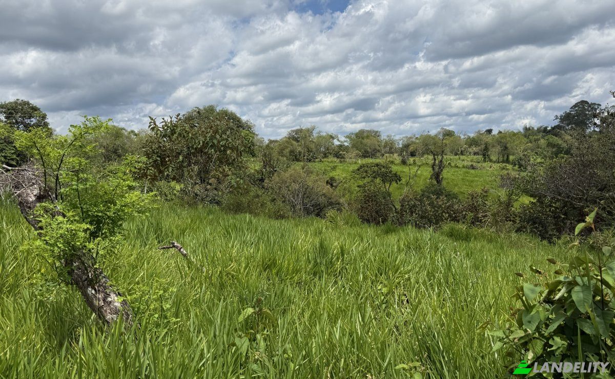 Lote de terreno en venta Manzana 040511 1-33, Sortová, Bugaba, Provincia de Chiriquí, Panamá. Foto 5
