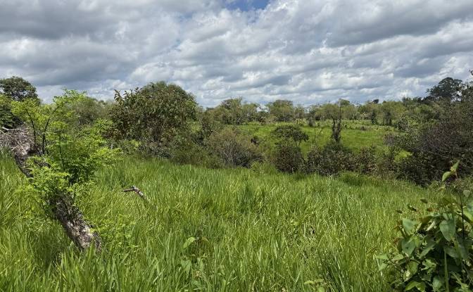 Lote de terreno en venta Manzana 040511 1-33. Foto#5 Lote de terreno en venta Manzana 040511 1-33. Foto#5