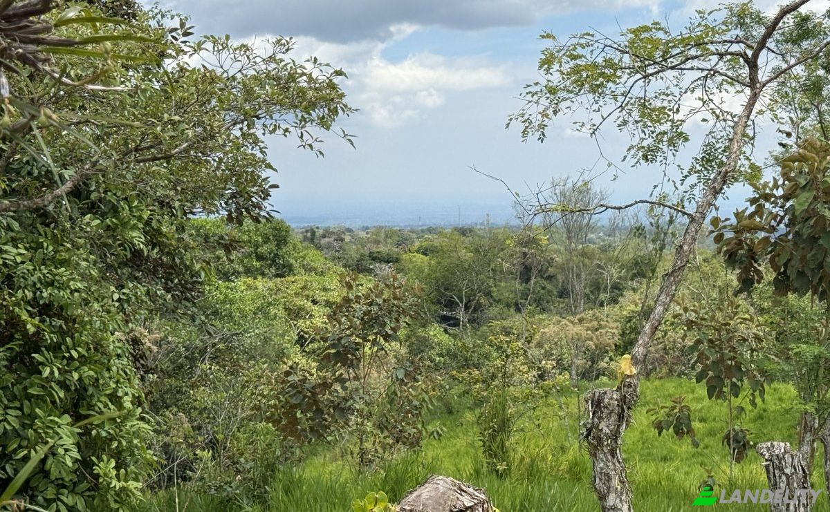 Lote de terreno en venta Manzana 040511 1-33, Sortová, Bugaba, Provincia de Chiriquí, Panamá. Foto 6