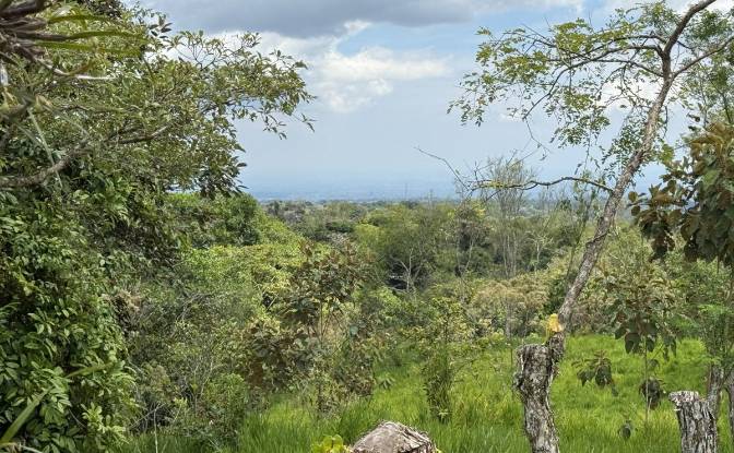 Lote de terreno en venta Manzana 040511 1-33. Foto#6 Lote de terreno en venta Manzana 040511 1-33. Foto#6