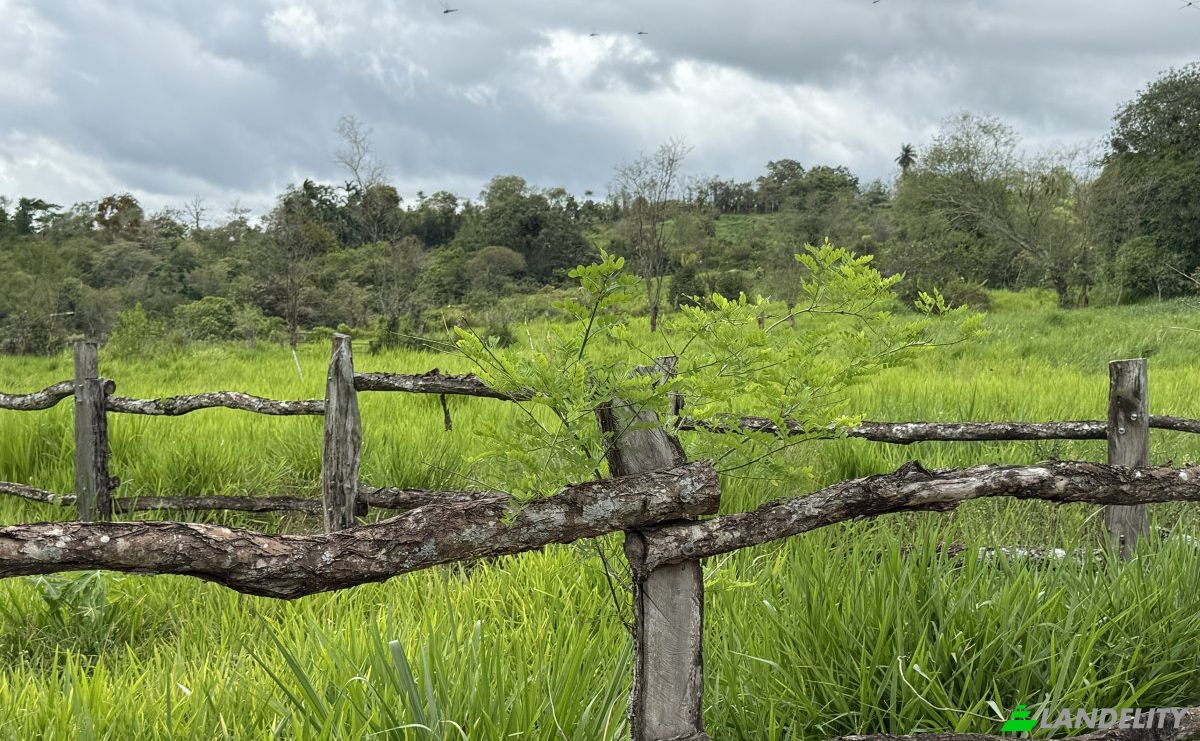 Lote de terreno en venta Manzana 040511 1-33, Sortová, Bugaba, Provincia de Chiriquí, Panamá. Foto 8