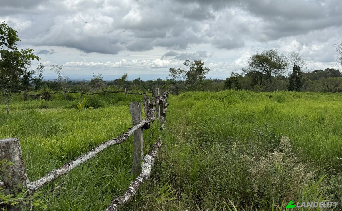 Lote de terreno en venta Manzana 040511 1-33, Sortová, Bugaba, Provincia de Chiriquí, Panamá. Foto 9