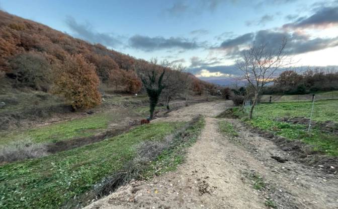 Lotto di terreno in vendita - Gavoi NU, Italia