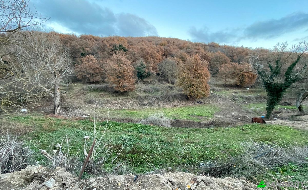 Lote de terreno en venta Via Curune, 08020 Gavoi NU, Gavoi NU, Province of Nuoro, Sardinia, Italy. Foto 3