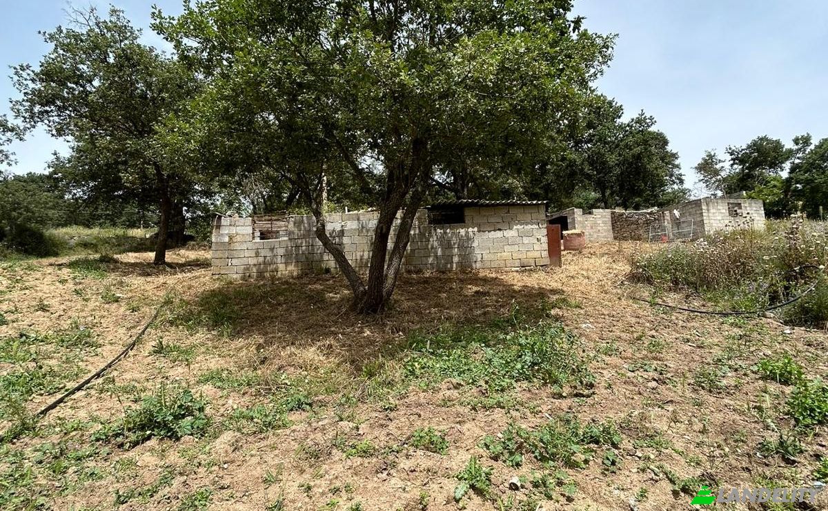 Lote de terreno en venta Via Curune, 08020 Gavoi NU, Gavoi NU, Province of Nuoro, Sardinia, Italy. Foto 5