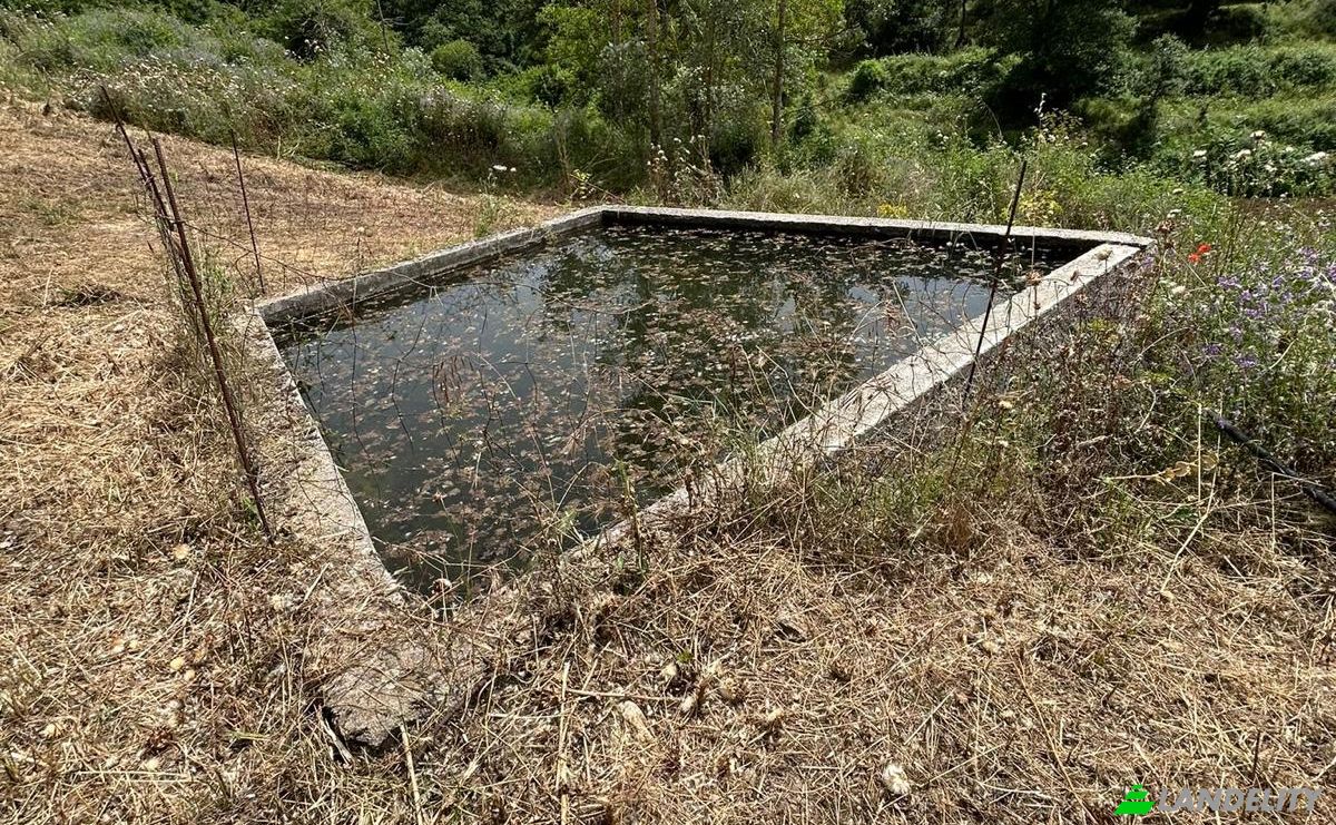 Lote de terreno en venta Via Curune, 08020 Gavoi NU, Gavoi NU, Province of Nuoro, Sardinia, Italy. Foto 9