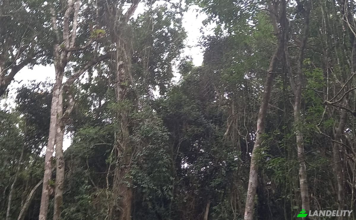 Lotto di terreno in vendita Nazare Paulista - State of Sao Paulo, Nazare Paulista, State of Sao Paulo, Brazil, 12960-000. Foto 1
