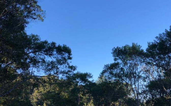 Lotto di terreno in vendita Nazare Paulista -. Foto#2