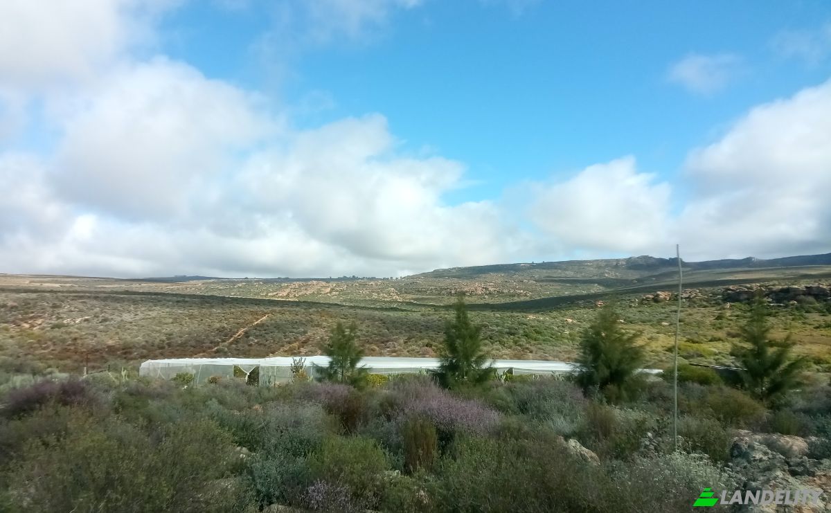Bauernhof/Ranch zu verkaufen West Coast District Municipality, Western Cape, South Africa. Foto 6