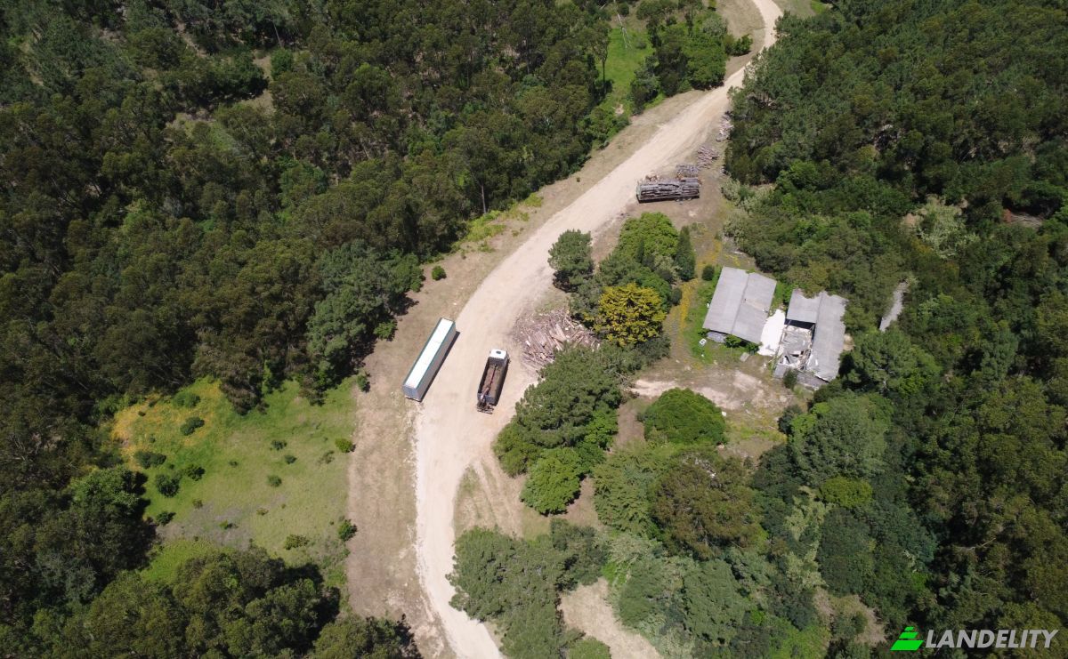 Farm/Ranch for Sale N9-1, Sintra, Lisbon, Portugal. Photo 5