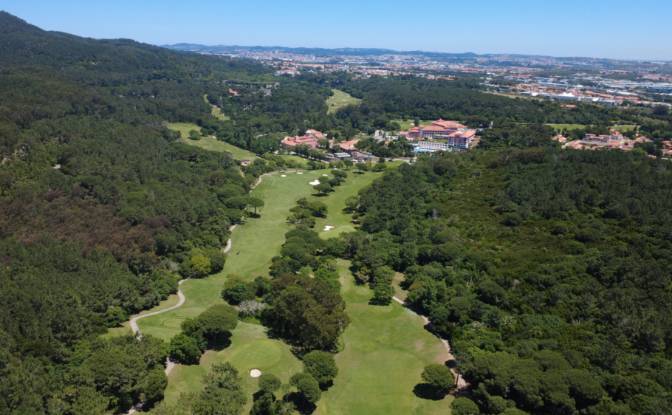 Farm/Ranch for Sale N9-1, Sintra, Lisbon, Portugal. Photo#7