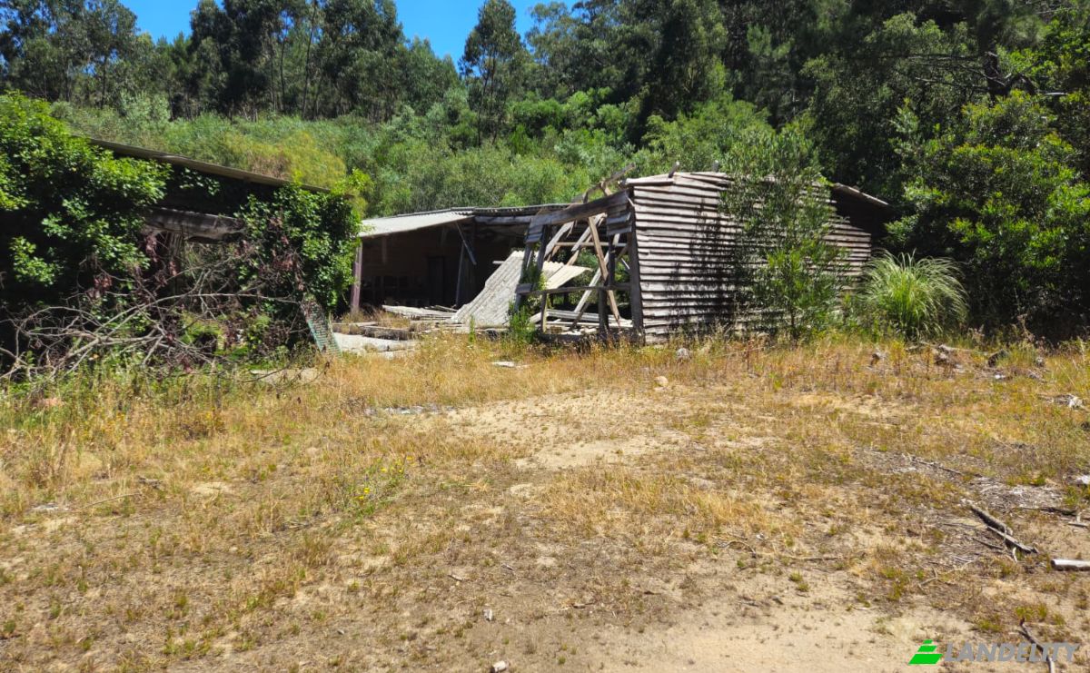 Farm/Ranch for Sale N9-1, Sintra, Lisbon, Portugal. Photo 8