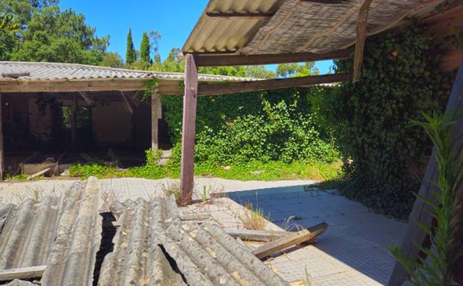 Farm/Ranch for Sale N9-1, Sintra, Lisbon, Portugal. Photo#10