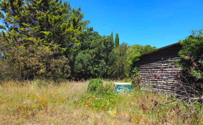 Farm/Ranch for Sale N9-1, Sintra, Lisbon, Portugal. Photo#14
