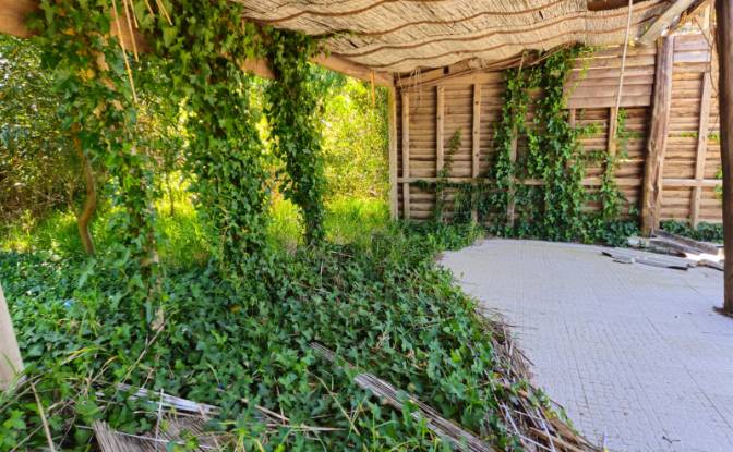 Farm/Ranch for Sale N9-1, Sintra, Lisbon, Portugal. Photo#15