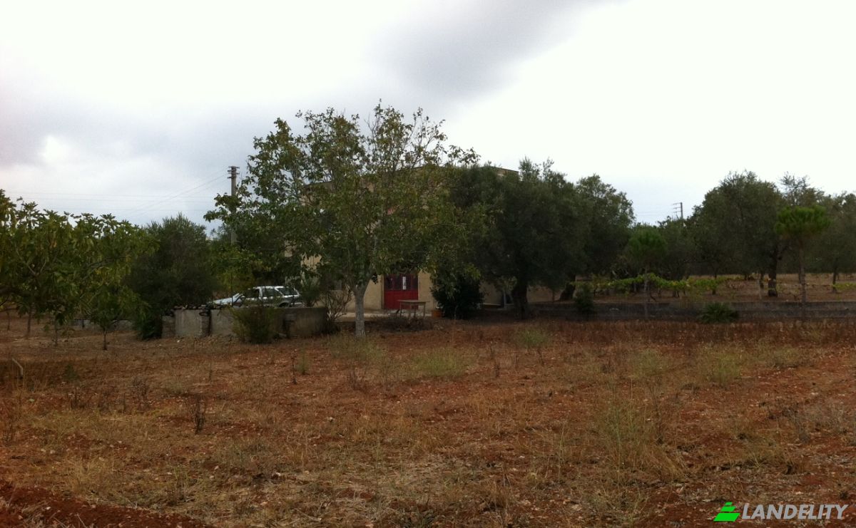 Villa zu verkaufen SC Campare, 73040 Specchia LE, Specchia, Province of Lecce, Apulia, Italy. Foto 7