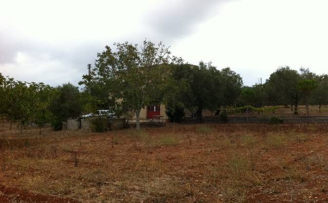 Villa zu verkaufen SC Campare, 73040 Specchia LE. Foto#7