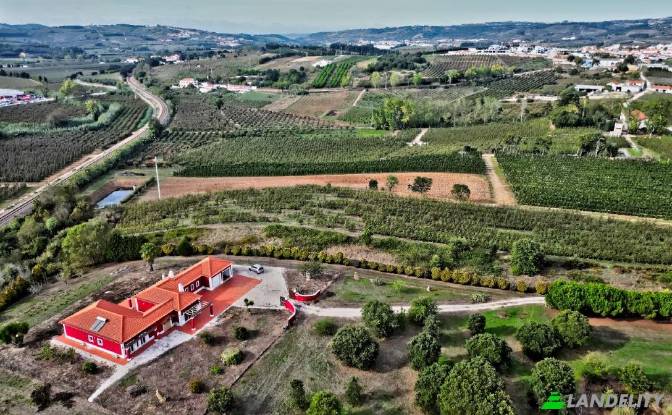 Single Family Home for Sale Bombarral. Photo#7 Single Family Home for Sale Bombarral. Photo#7