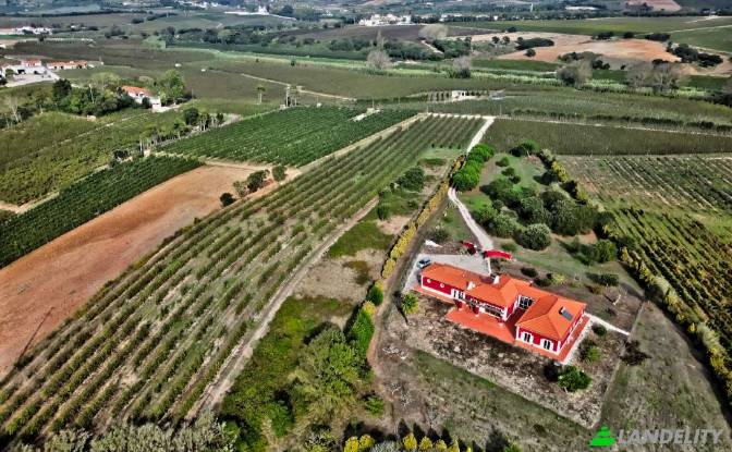 Single Family Home for Sale Bombarral. Photo#8 Single Family Home for Sale Bombarral. Photo#8