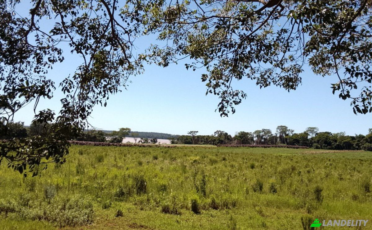 Grondperceel Te koop 070811, Carmen del Parana, Coronel Bogado, Itapua Department, Paraguay. Foto 1