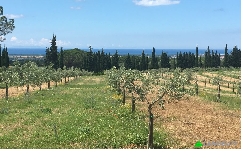 Single Family Home for Sale Strada Provinciale dei Tre Comuni, 56040 Cecina LI, Casale Marittimo, Province of Pisa, Tuscany, Italy. Photo 6