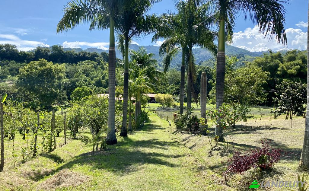 Single Family Home for Sale Via sin nombre, Viterbo, Caldas, Colombia. Photo 1