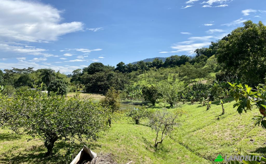 Single Family Home for Sale Via sin nombre, Viterbo, Caldas, Colombia. Photo 2