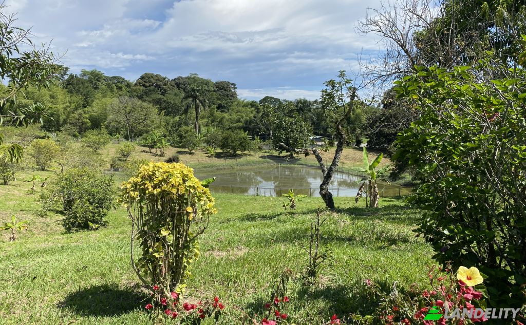 Single Family Home for Sale Via sin nombre, Viterbo, Caldas, Colombia. Photo 3