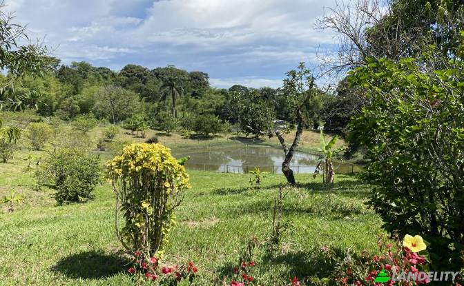 Single Family Home for Sale Via sin nombre. Photo#3 Single Family Home for Sale Via sin nombre. Photo#3