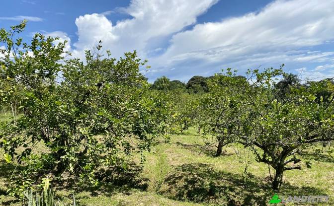 Single Family Home for Sale Via sin nombre. Photo#4 Single Family Home for Sale Via sin nombre. Photo#4