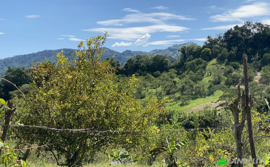 Single Family Home for Sale Via sin nombre, Viterbo, Caldas, Colombia. Photo 5