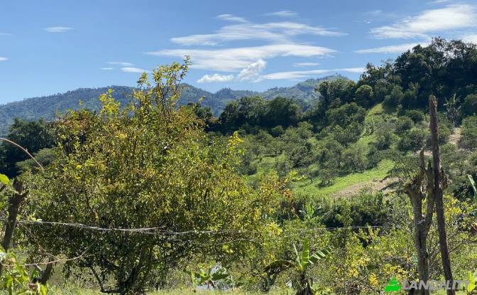 Single Family Home for Sale Via sin nombre. Photo#5 Single Family Home for Sale Via sin nombre. Photo#5