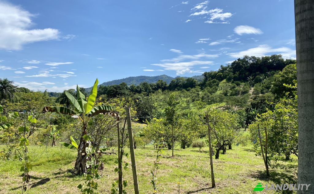 Single Family Home for Sale Via sin nombre, Viterbo, Caldas, Colombia. Photo 6