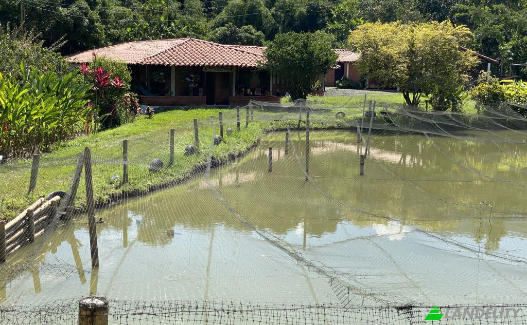 Single Family Home for Sale Via sin nombre, Viterbo, Caldas, Colombia. Photo 7
