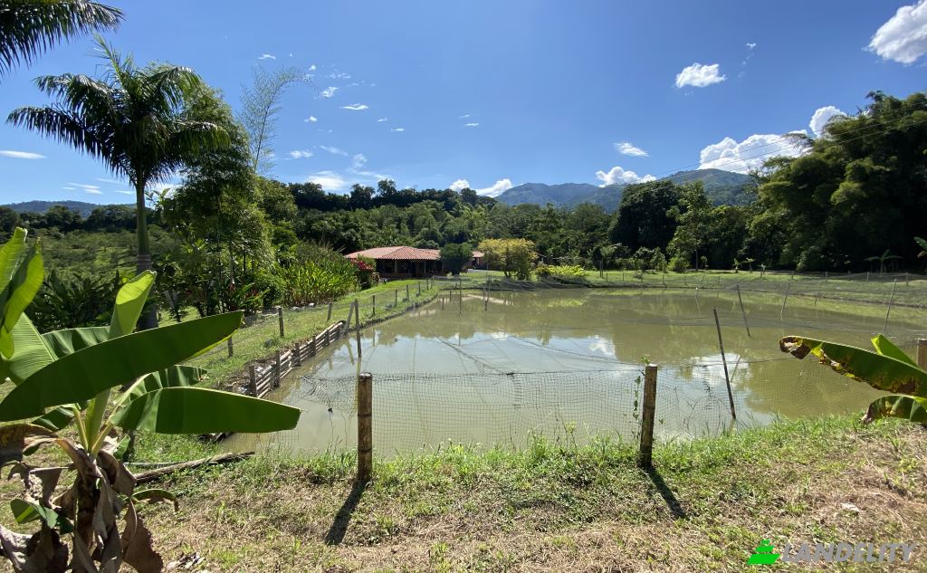 Single Family Home for Sale Via sin nombre, Viterbo, Caldas, Colombia. Photo 8