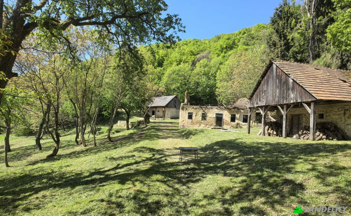 Investeren/Ontwikkelen Te koop Podgorje pri Pisecah 64, 8255 Pisece, Podgorje pri Pisecah, Municipality of Brezice, Brezice, Slovenia. Foto 13