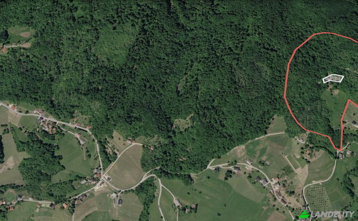 Grondperceel Te koop Podgorje pri Pisecah 64, 8255 Pisece, Podgorje pri Pisecah, Municipality of Brezice, Brezice, Slovenia. Foto 17